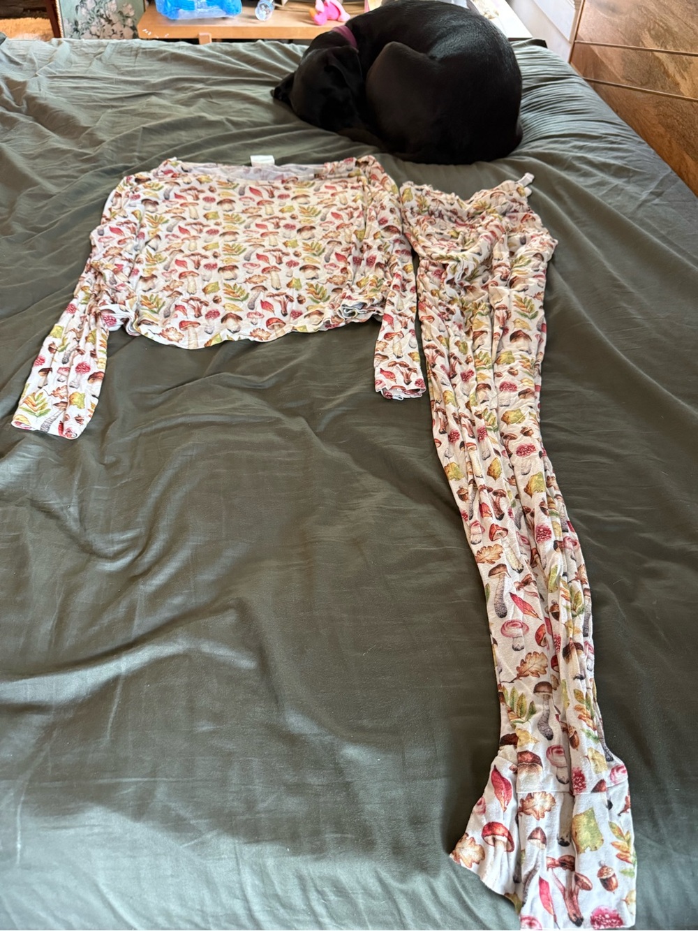 Posh Peanut Cream Mushroom & Leaf Print Two-Piece Pajama Set - Picture 4 of 5